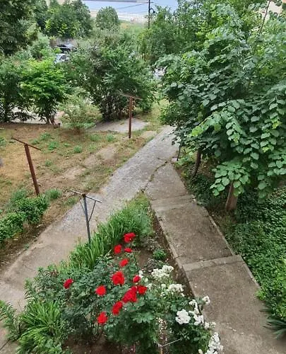 Lumiss - Zoom アパート コンスタンツァ